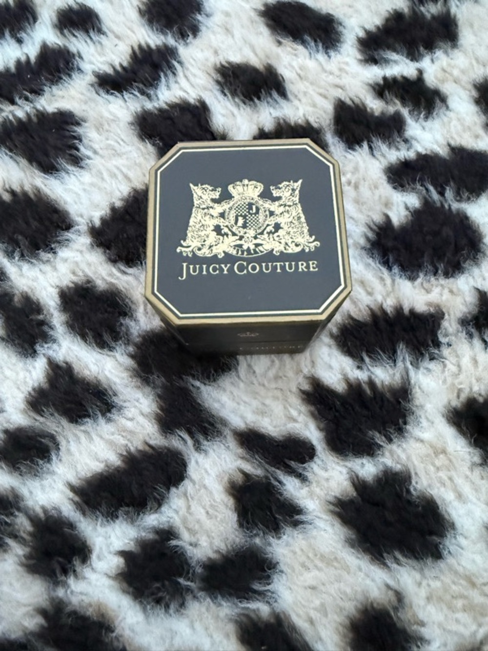 Vintage Juicy Couture Charm Box